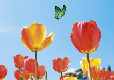 Copertina T Magazine n.12 GEN25